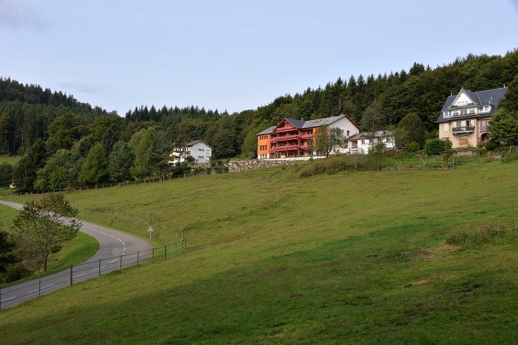Les Gites D'Adelspach Gites & Spa En Alsace Aubure Eksteriør billede